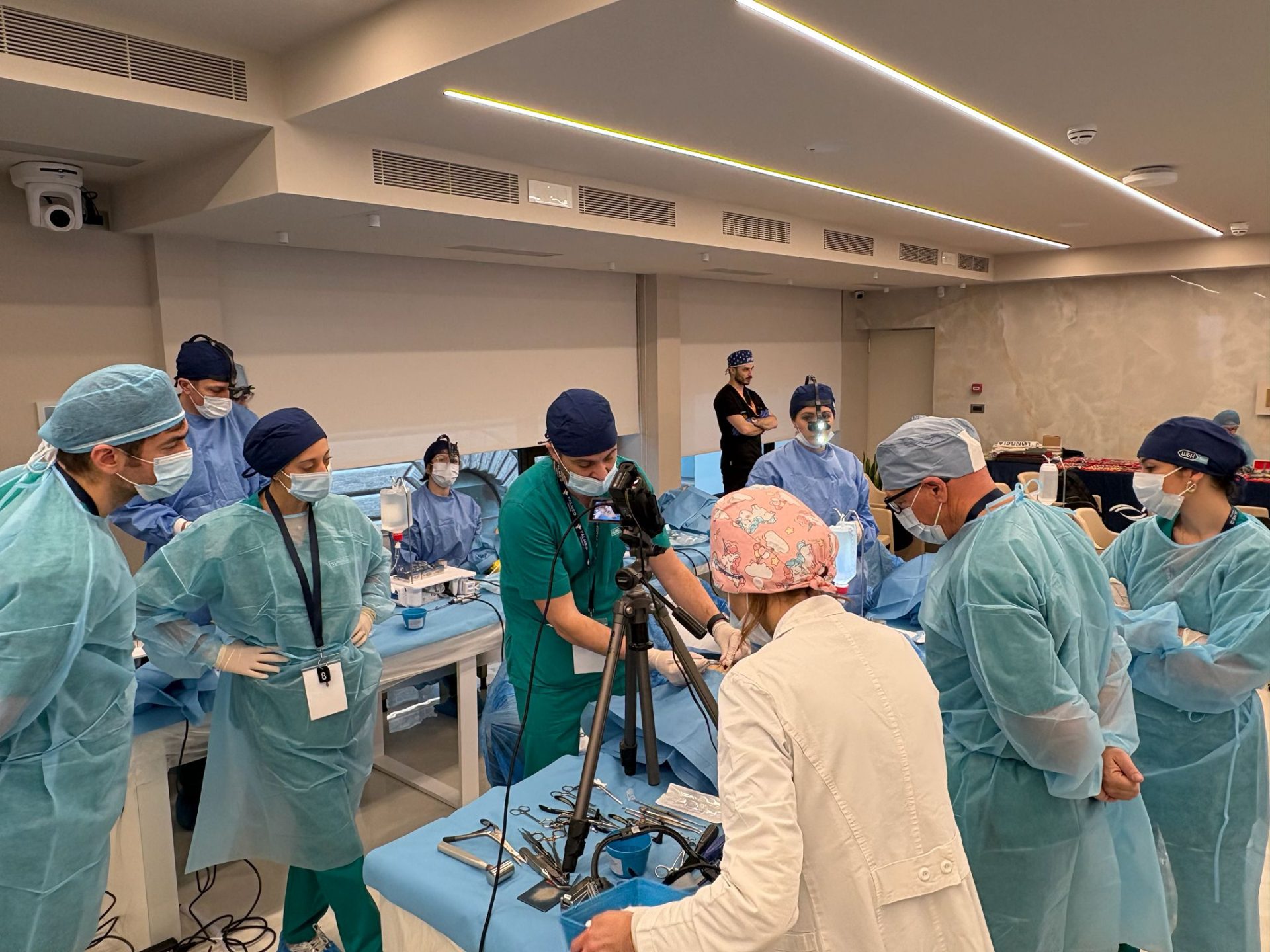 Rinoplastica open strutturale: due giornate di alta formazione tra teoria e dissezione anatomica